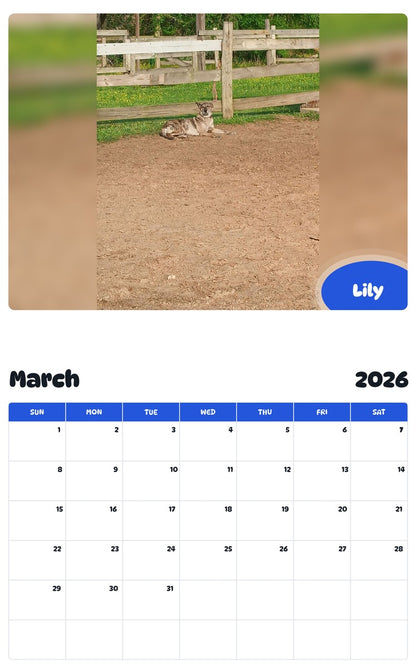 November 2025 - October 2026 Lily - Pawidols Pet Calendar