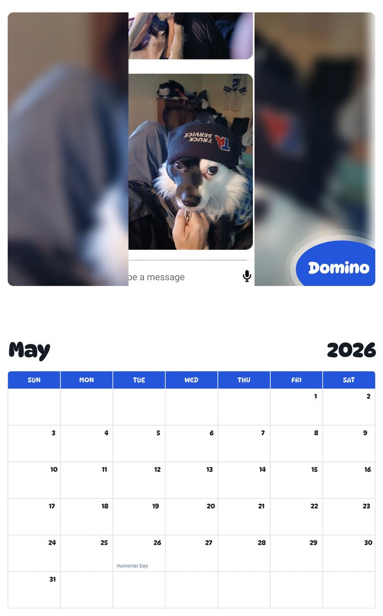 2026 - 2027 Domino - Pawidols Pet Calendar