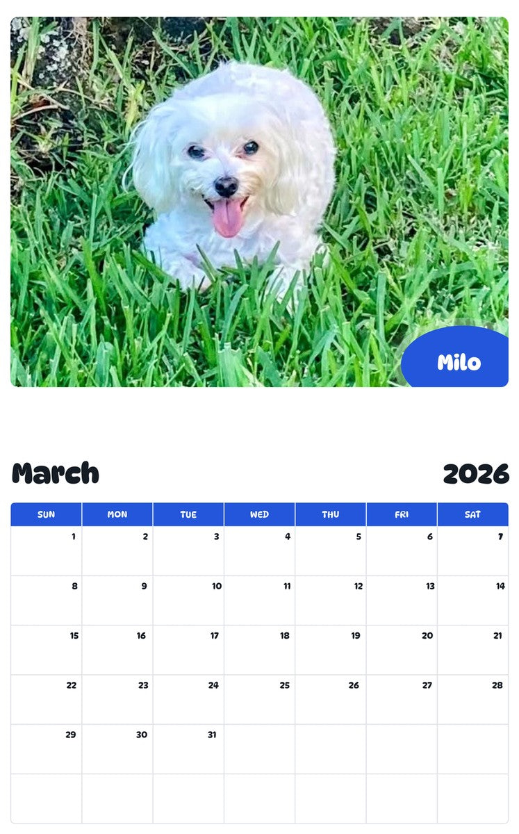November 2025 - October 2026 Milo - Pawidols Pet Calendar