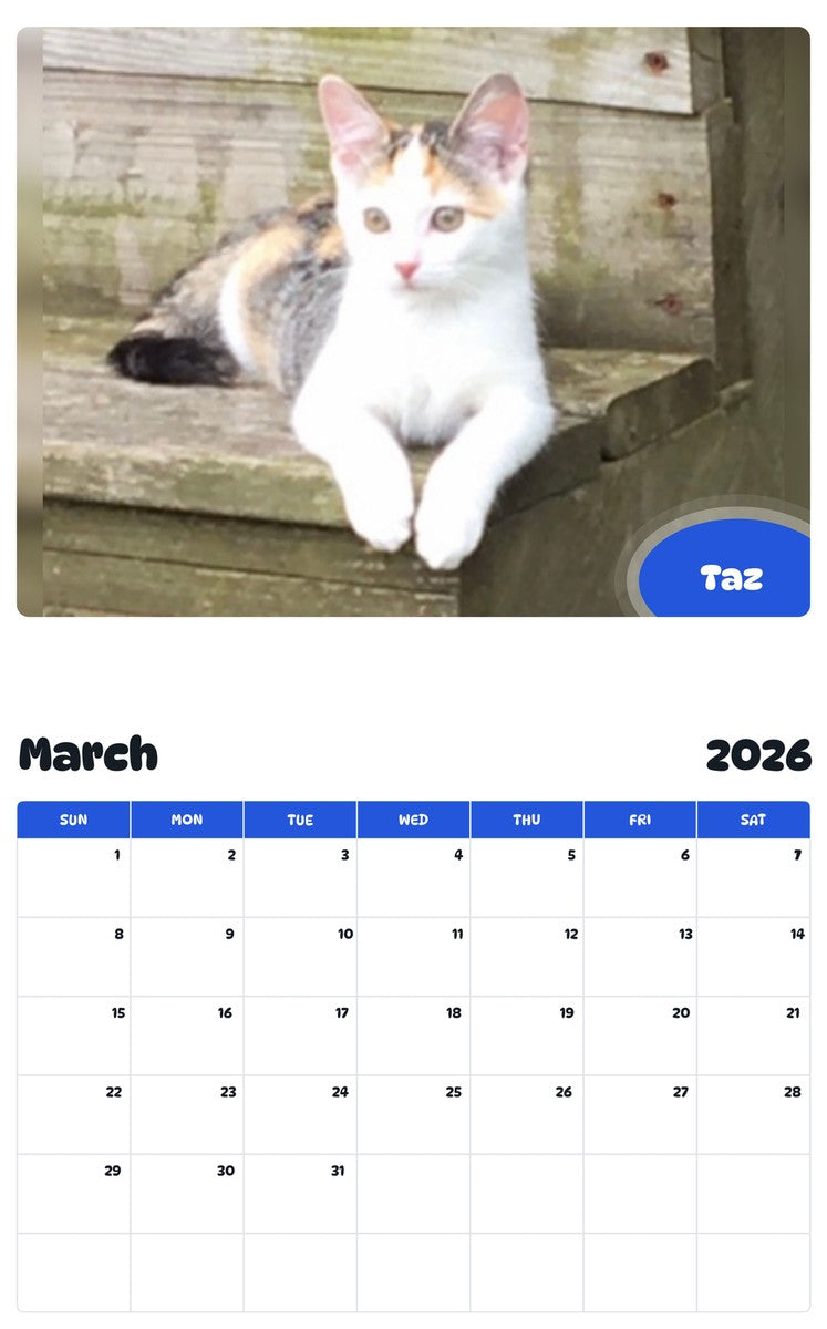 November 2025 - October 2026 Taz - Pawidols Pet Calendar