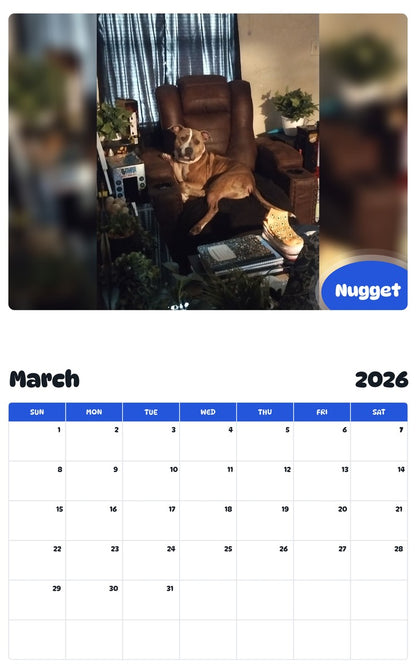 November 2025 - October 2026 Nugget - Pawidols Pet Calendar