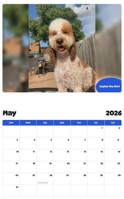 2026 - 2027 Sophia the First - Pawidols Pet Calendar