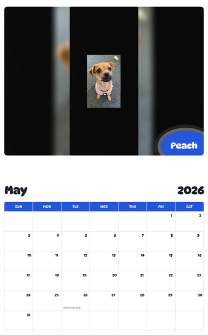 2026 - 2027 Peach - Pawidols Pet Calendar