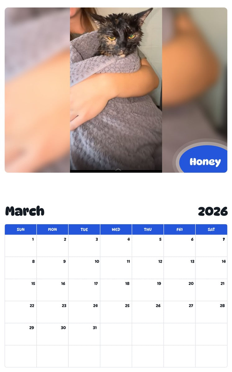 November 2025 - October 2026 Honey - Pawidols Pet Calendar