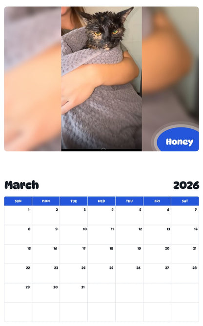 November 2025 - October 2026 Honey - Pawidols Pet Calendar