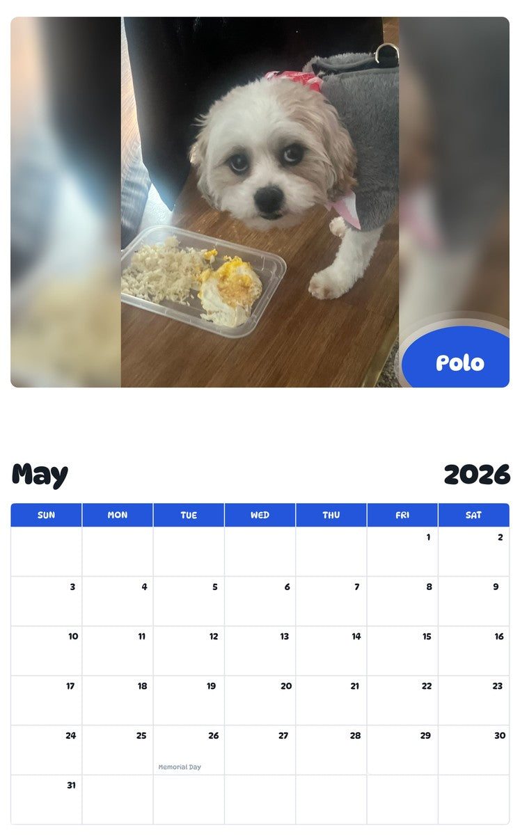 2026 - 2027 Polo - Pawidols Pet Calendar