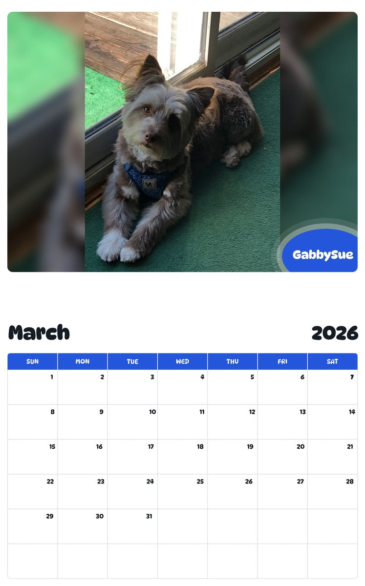 November 2025 - October 2026 GabbySue - Pawidols Pet Calendar