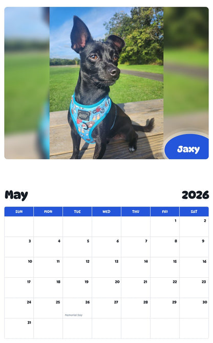 2026 - 2027 Jaxy - Pawidols Pet Calendar
