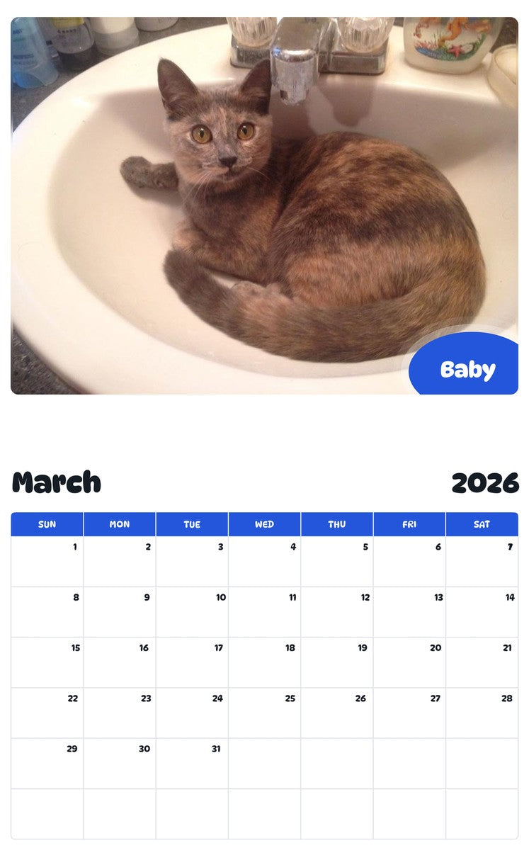 November 2025 - October 2026 Baby - Pawidols Pet Calendar