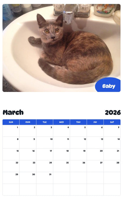November 2025 - October 2026 Baby - Pawidols Pet Calendar