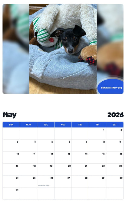 2026 - 2027 Banjo AKA Short Dog - Pawidols Pet Calendar