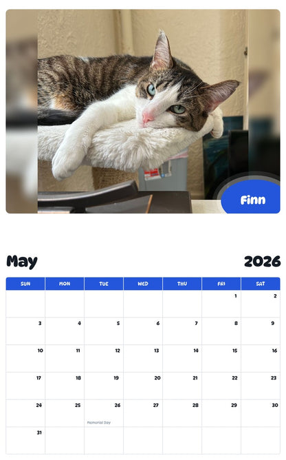 2026 - 2027 Finn - Pawidols Pet Calendar