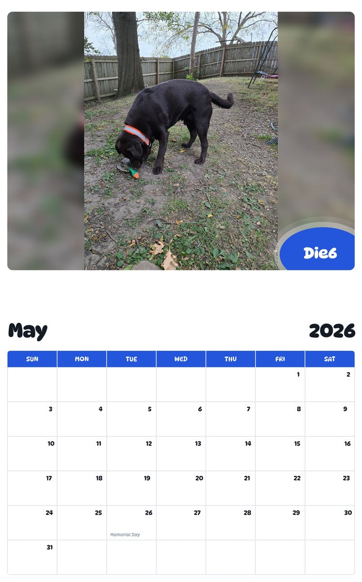 2026 - 2027 Die6 - Pawidols Pet Calendar