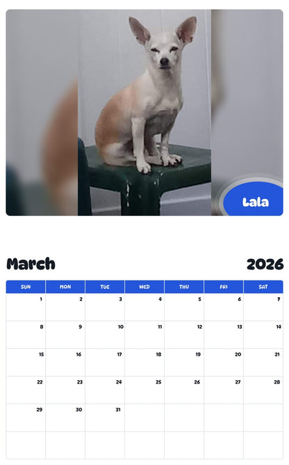 November 2025 - October 2026 Lala - Pawidols Pet Calendar