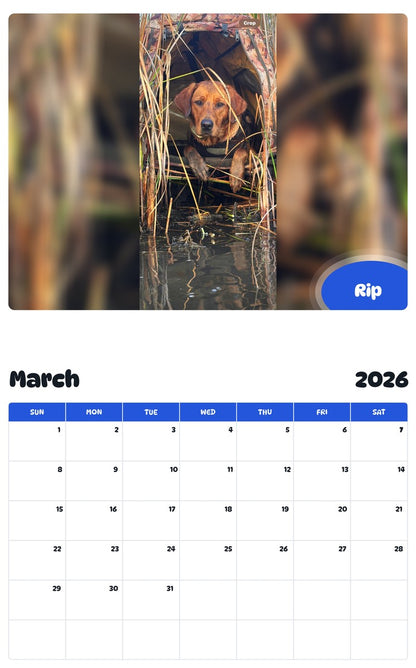 November 2025 - October 2026 Rip - Pawidols Pet Calendar