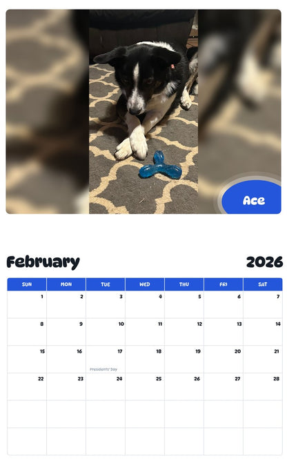 October 2025 - September 2026 Ace - Pawidols Pet Calendar
