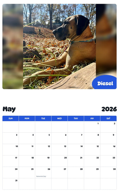 2026 - 2027 Diesel - Pawidols Pet Calendar
