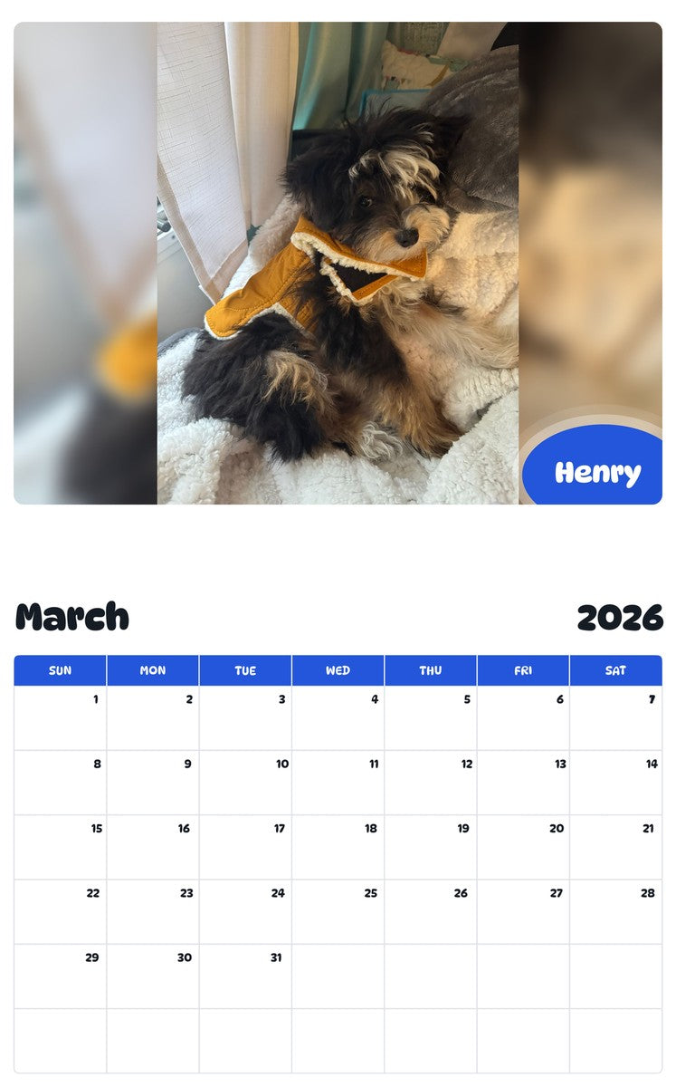November 2025 - October 2026 Henry - Pawidols Pet Calendar