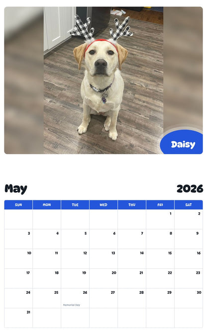 2026 - 2027 Daisy - Pawidols Pet Calendar