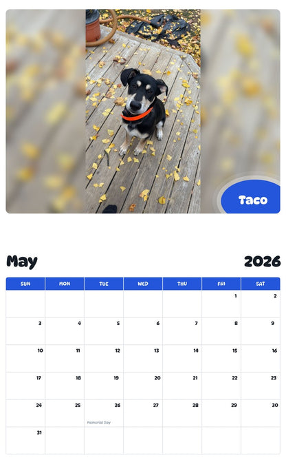 2026 - 2027 Taco - Pawidols Pet Calendar