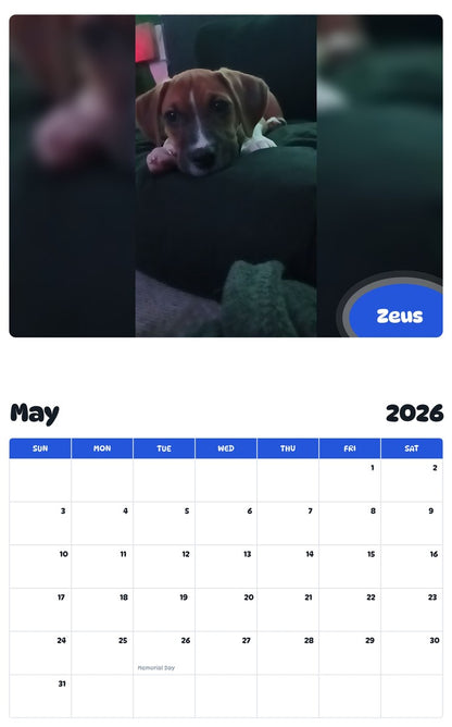 2026 - 2027 Zeus - Pawidols Pet Calendar