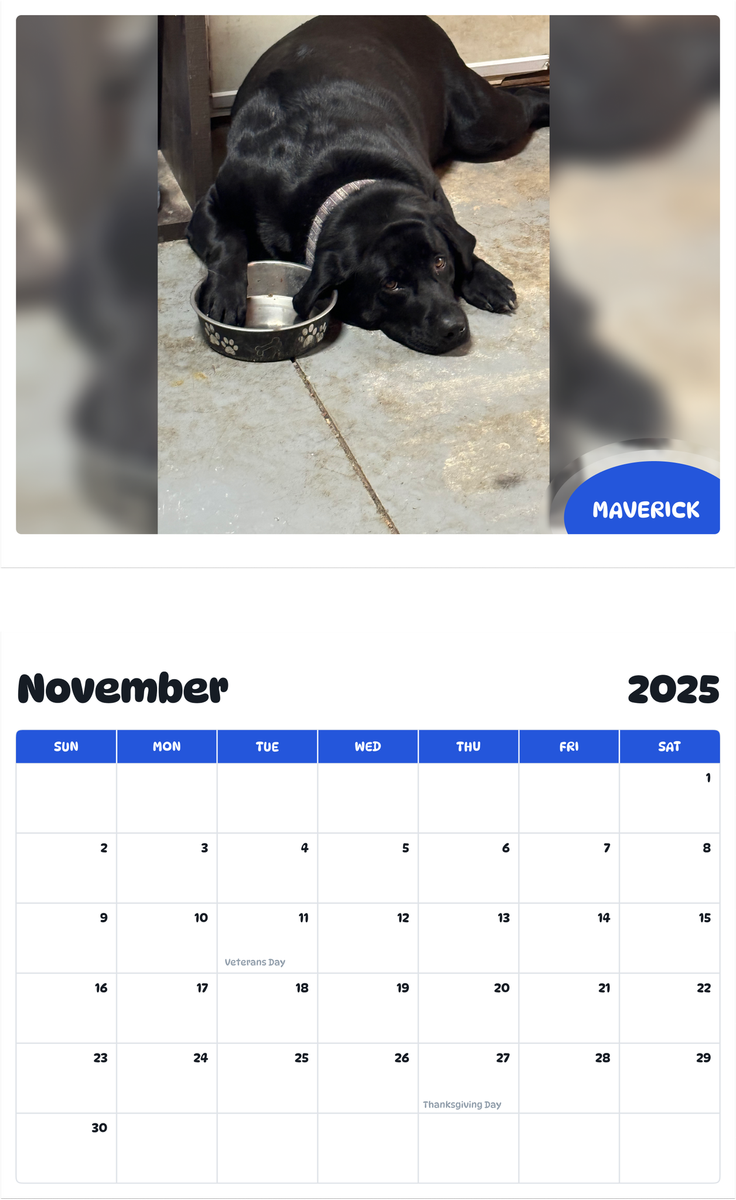 July 2025 - June 2026 Maverick - Pawidols Pet Calendar