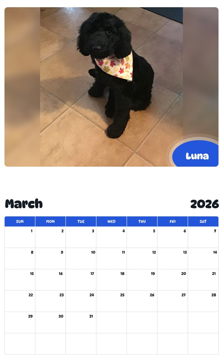 November 2025 - October 2026 Luna - Pawidols Pet Calendar