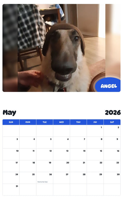 2026 - 2027 ANGEL - Pawidols Pet Calendar