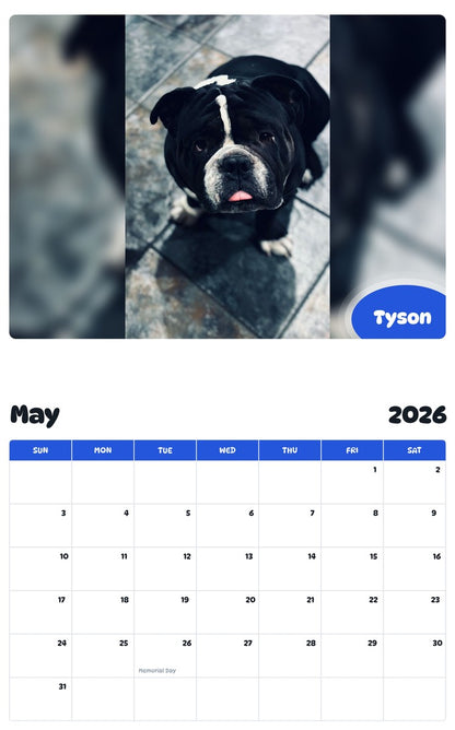 2026 - 2027 Tyson - Pawidols Pet Calendar