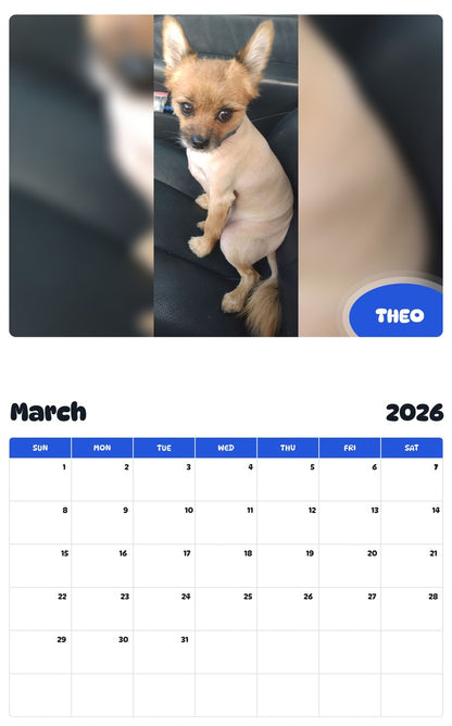 November 2025 - October 2026 THEO - Pawidols Pet Calendar