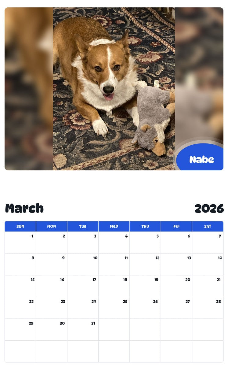 November 2025 - October 2026 Nabe - Pawidols Pet Calendar