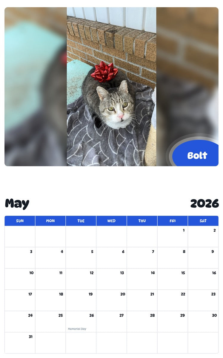 2026 - 2027 Bolt - Pawidols Pet Calendar