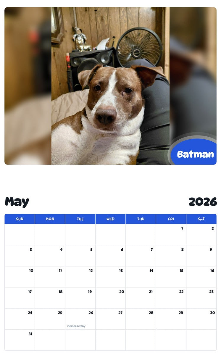 2026 - 2027 Batman - Pawidols Pet Calendar