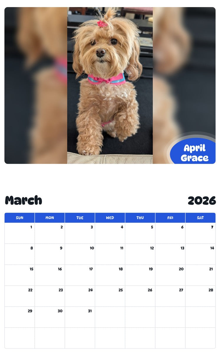 November 2025 - October 2026 April Grace - Pawidols Pet Calendar