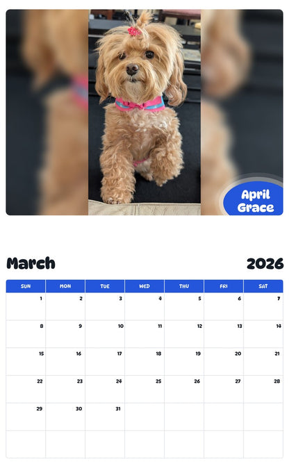 November 2025 - October 2026 April Grace - Pawidols Pet Calendar