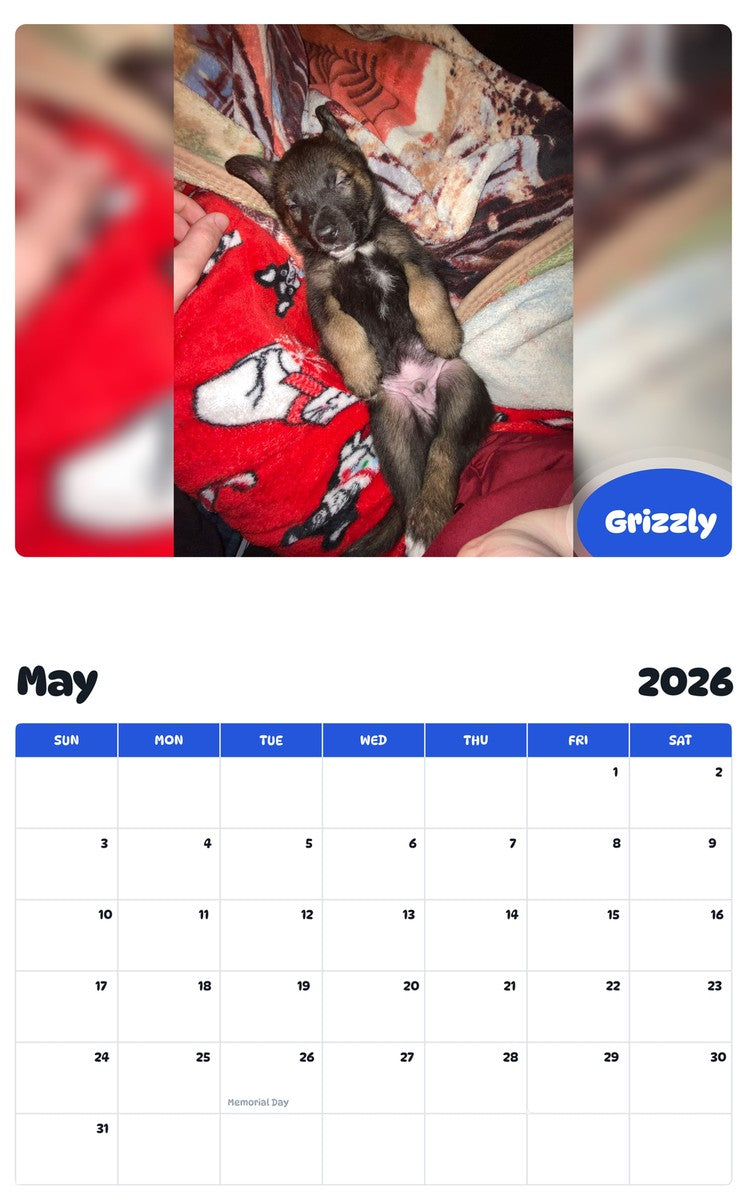 2026 - 2027 Grizzly - Pawidols Pet Calendar