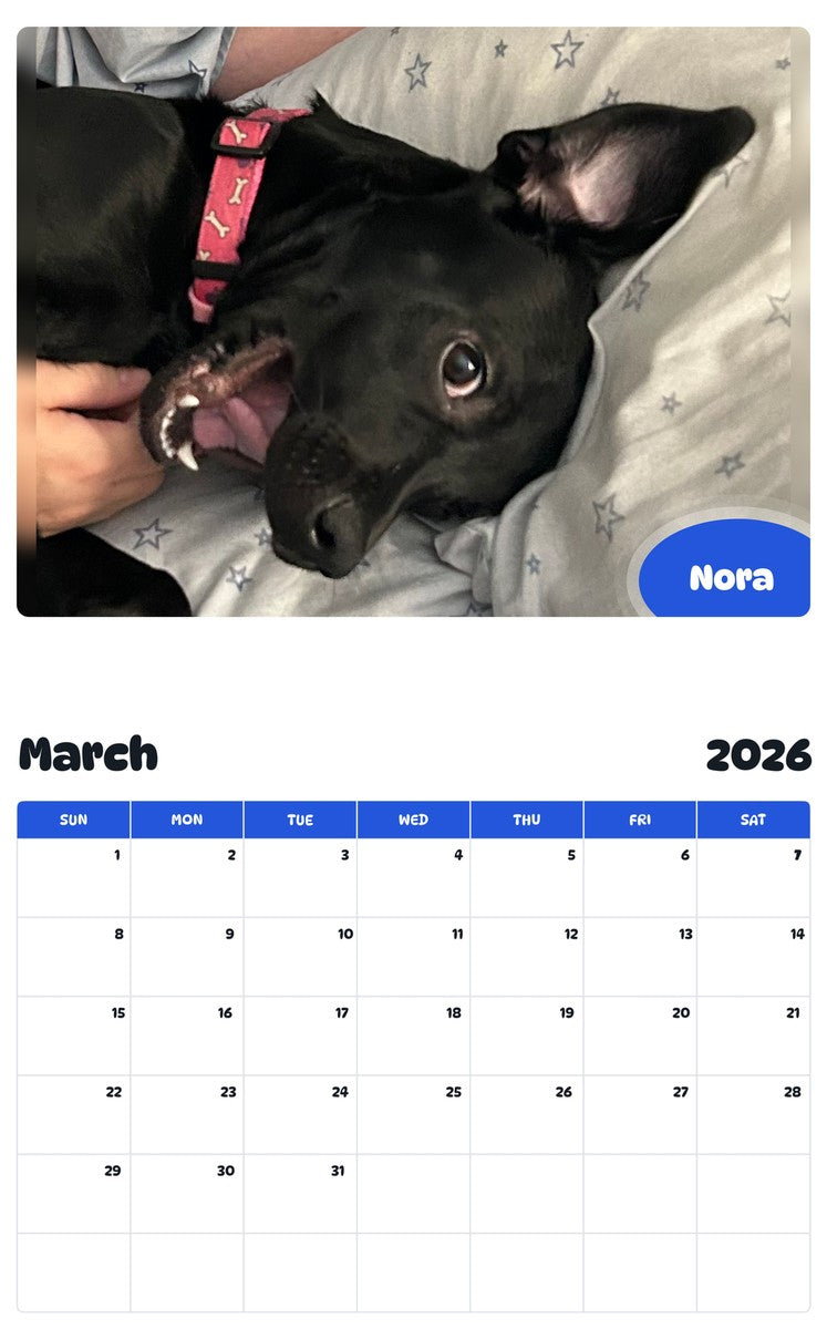 November 2025 - October 2026 Nora - Pawidols Pet Calendar