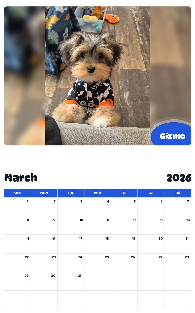 November 2025 - October 2026 Gizmo - Pawidols Pet Calendar