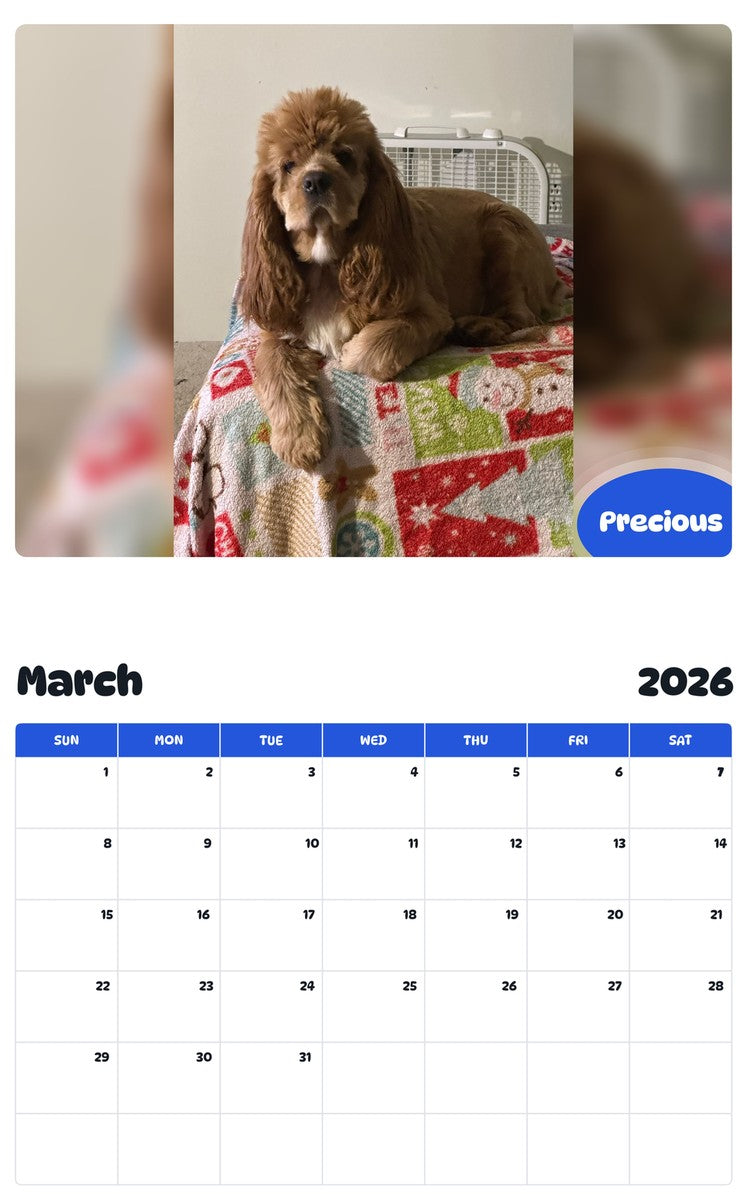 November 2025 - October 2026 Precious - Pawidols Pet Calendar