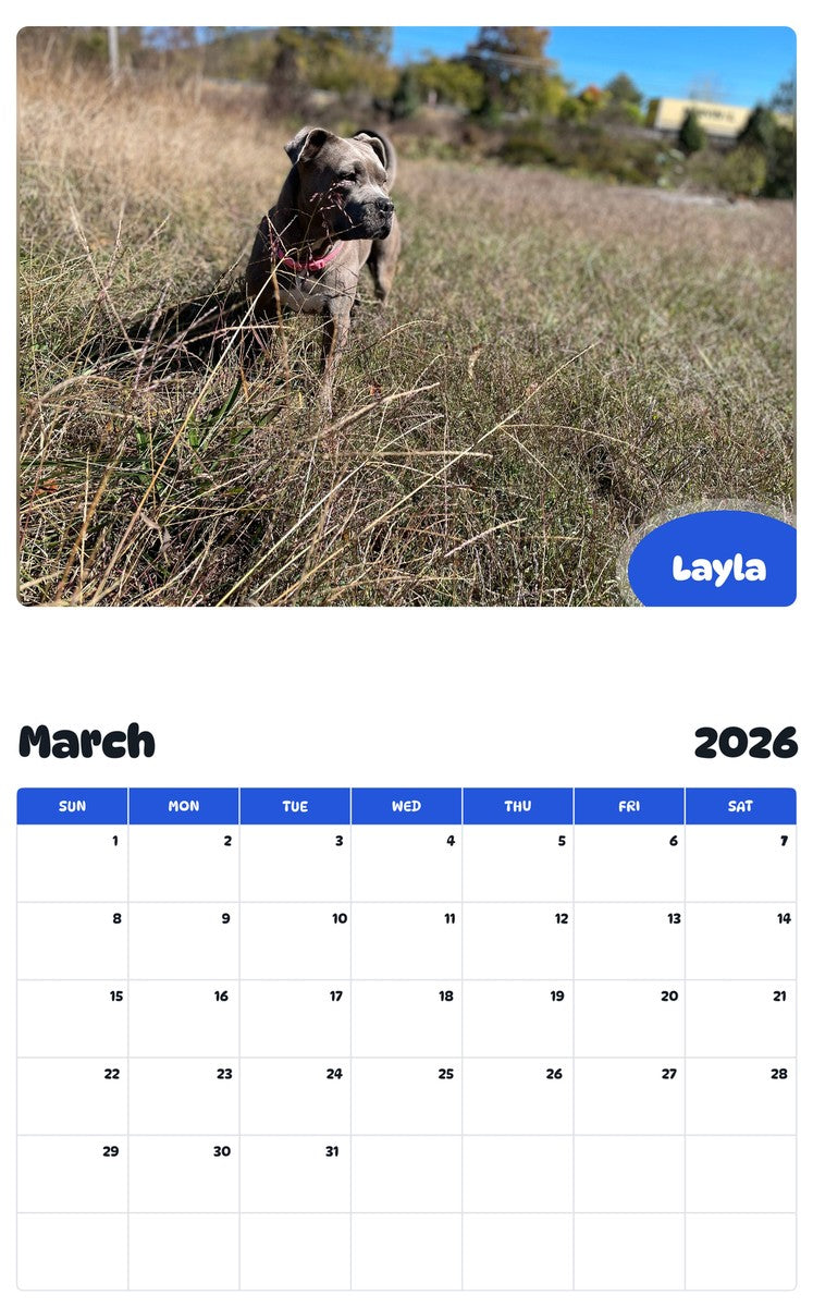 November 2025 - October 2026 Layla - Pawidols Pet Calendar