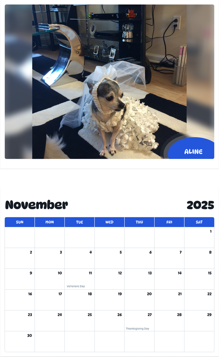 July 2025 - June 2026 Aline - Pawidols Pet Calendar