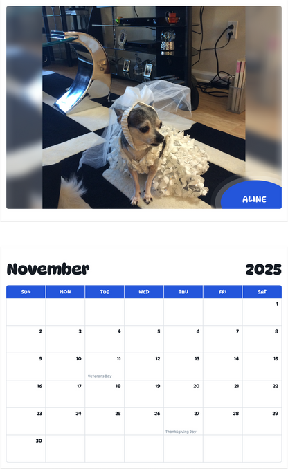 July 2025 - June 2026 Aline - Pawidols Pet Calendar