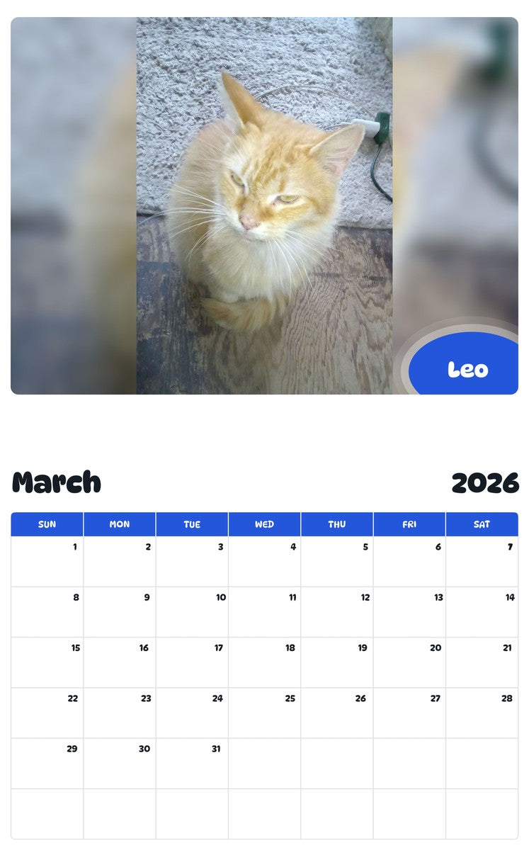 November 2025 - October 2026 Leo - Pawidols Pet Calendar