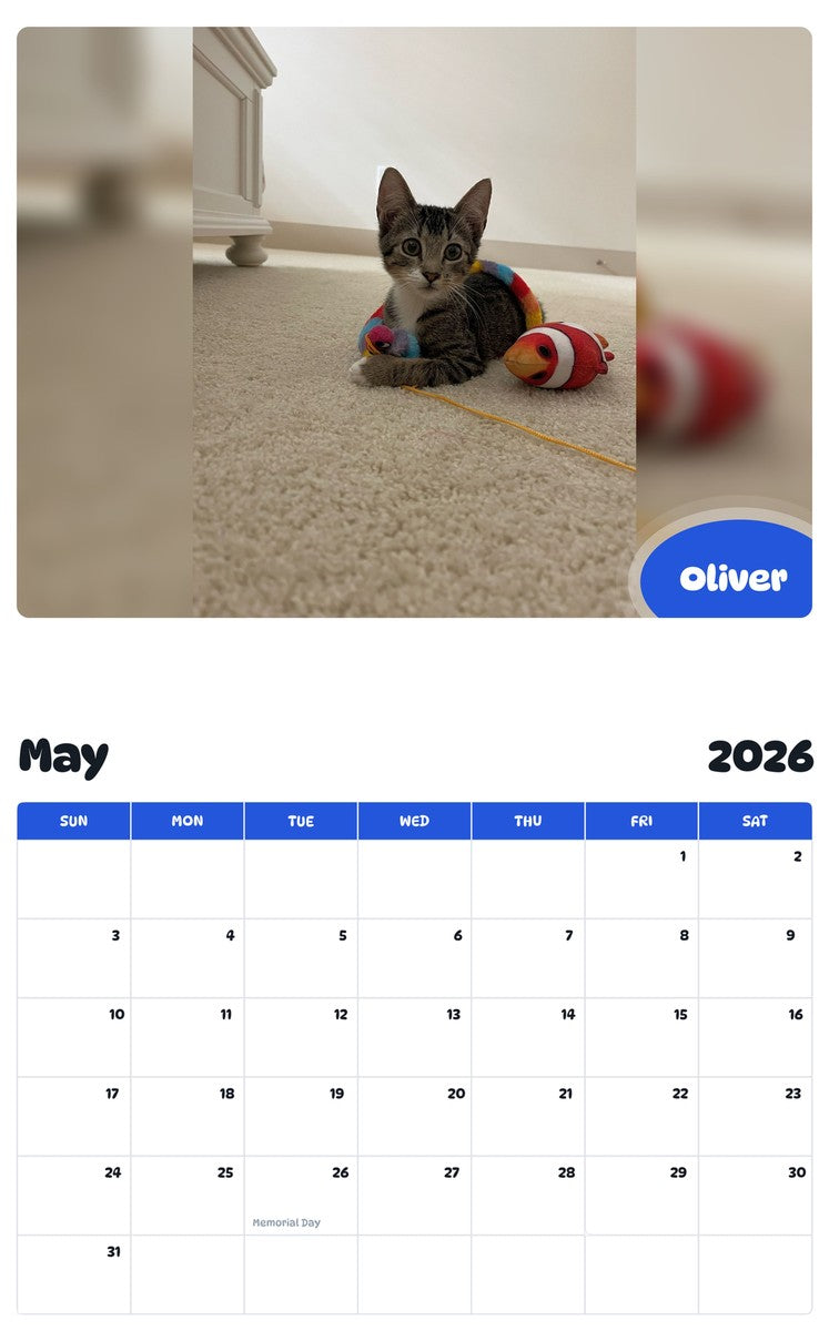 2026 - 2027 Oliver - Pawidols Pet Calendar