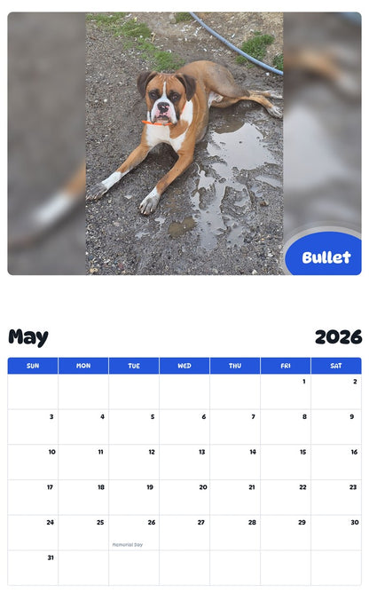 2026 - 2027 Bullet - Pawidols Pet Calendar