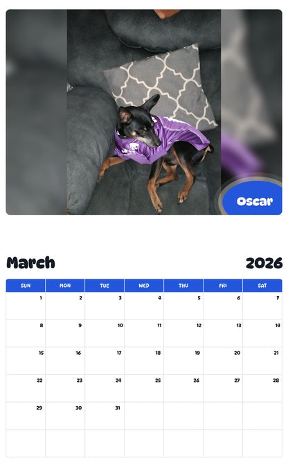 November 2025 - October 2026 Oscar - Pawidols Pet Calendar