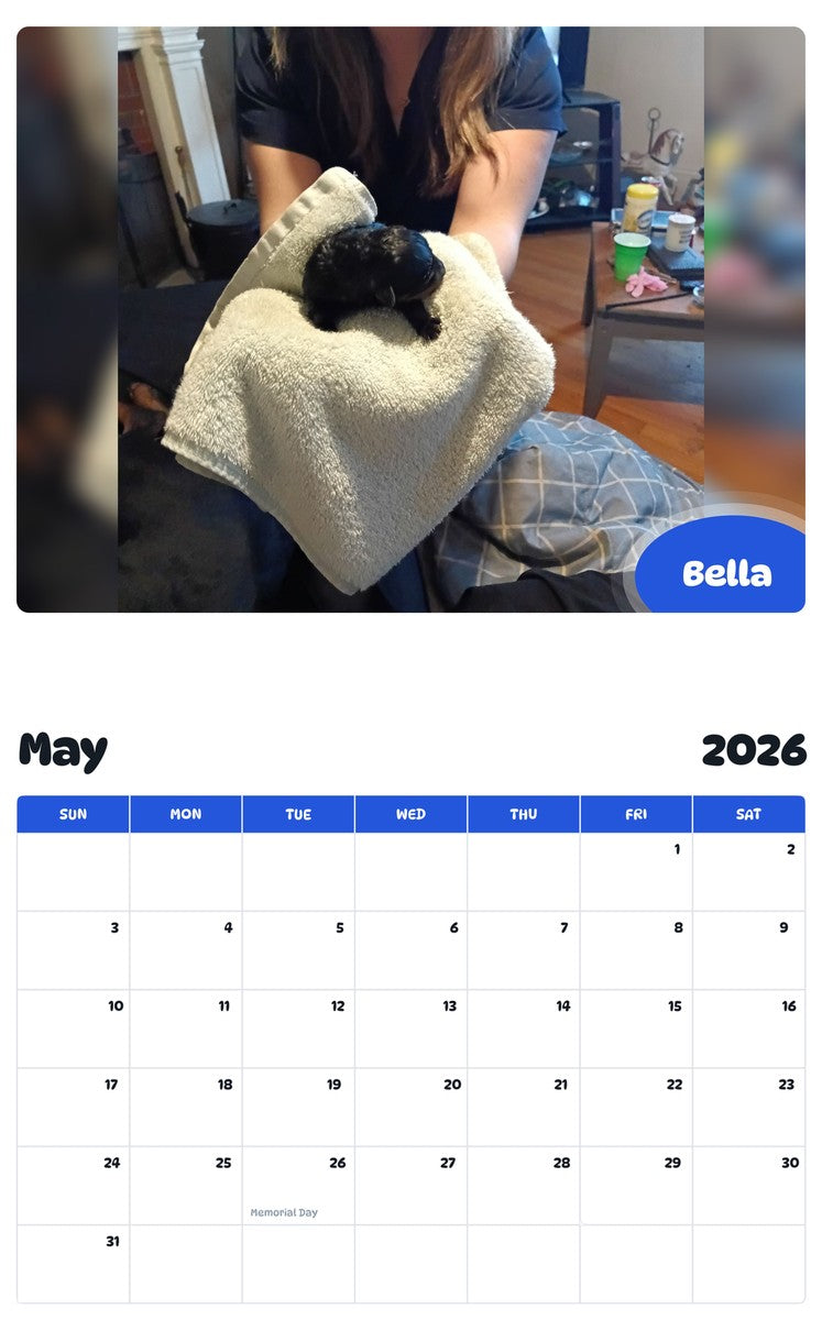 2026 - 2027 Bella - Pawidols Pet Calendar