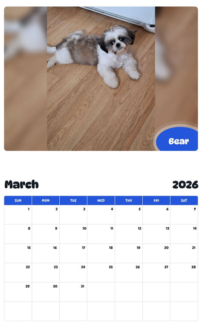 November 2025 - October 2026 Bear - Pawidols Pet Calendar