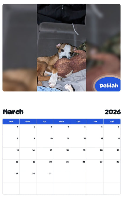 November 2025 - October 2026 Delilah - Pawidols Pet Calendar