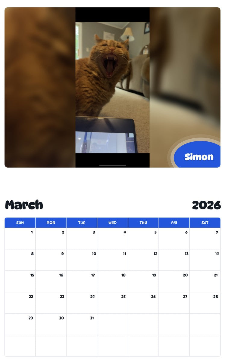 November 2025 - October 2026 Simon - Pawidols Pet Calendar